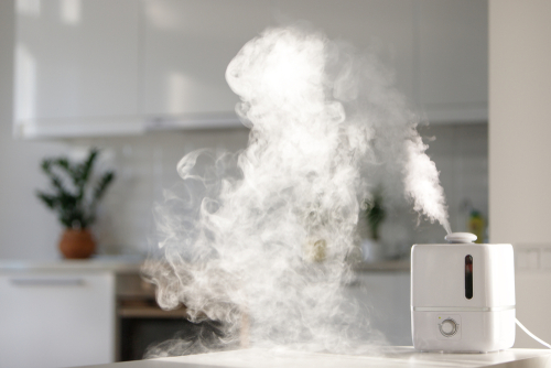 difference between cool mist and warm mist humidifier