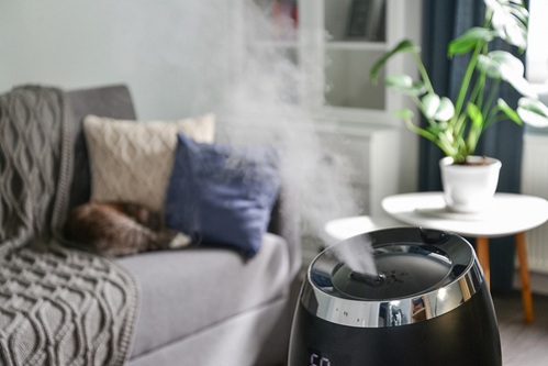 humidifier and diffuser