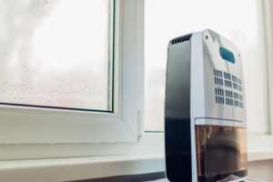 does a dehumidifier help with mold
