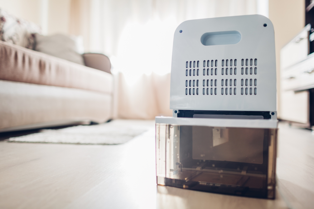 how much does it cost to run a dehumidifier per day