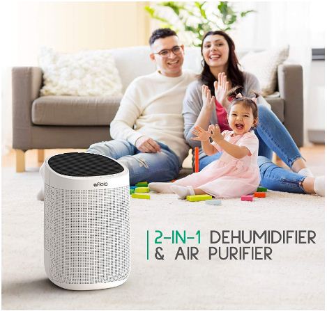 best air purifier and dehumidifier all in one