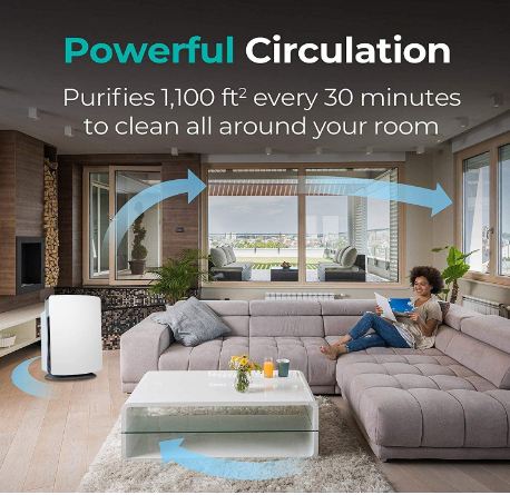 best whole home air purifier