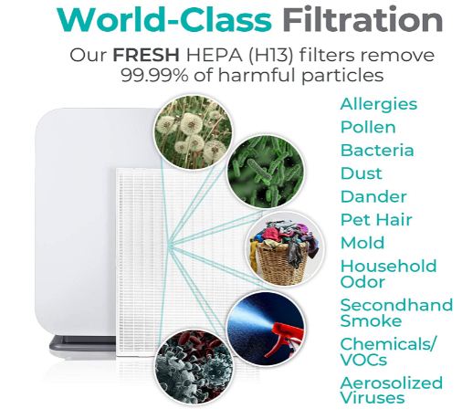 air purifier for smoking weed