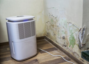 humidifier air purifier combination