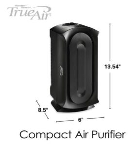 air purifier plug in