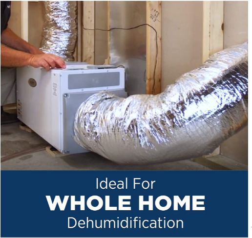 best rated whole house dehumidifier